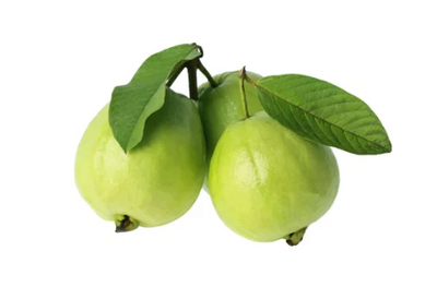 Guava Leaves - Mexico