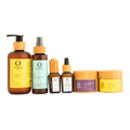 omorfee-facial-pre-wedding-essential-kit-organic-cleansing-milk-organic-face-toner-organic-facial-oil